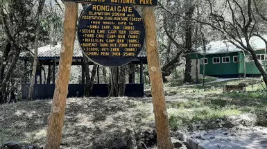 Kilimanjaro trek (Rongai route)