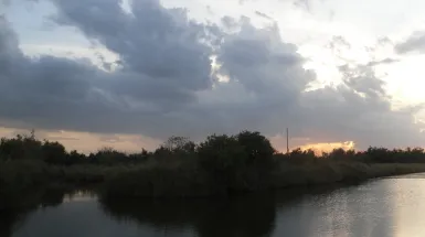 Un giro turistico nel delta del fiume Po, alla ricerca di siti storico-rurali, natura incontaminata e vita primordiale.