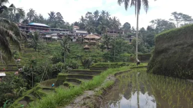 Bali, l'isola della felicità!