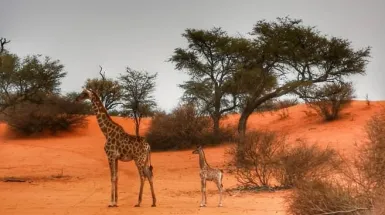 Il mio viaggio in Namibia